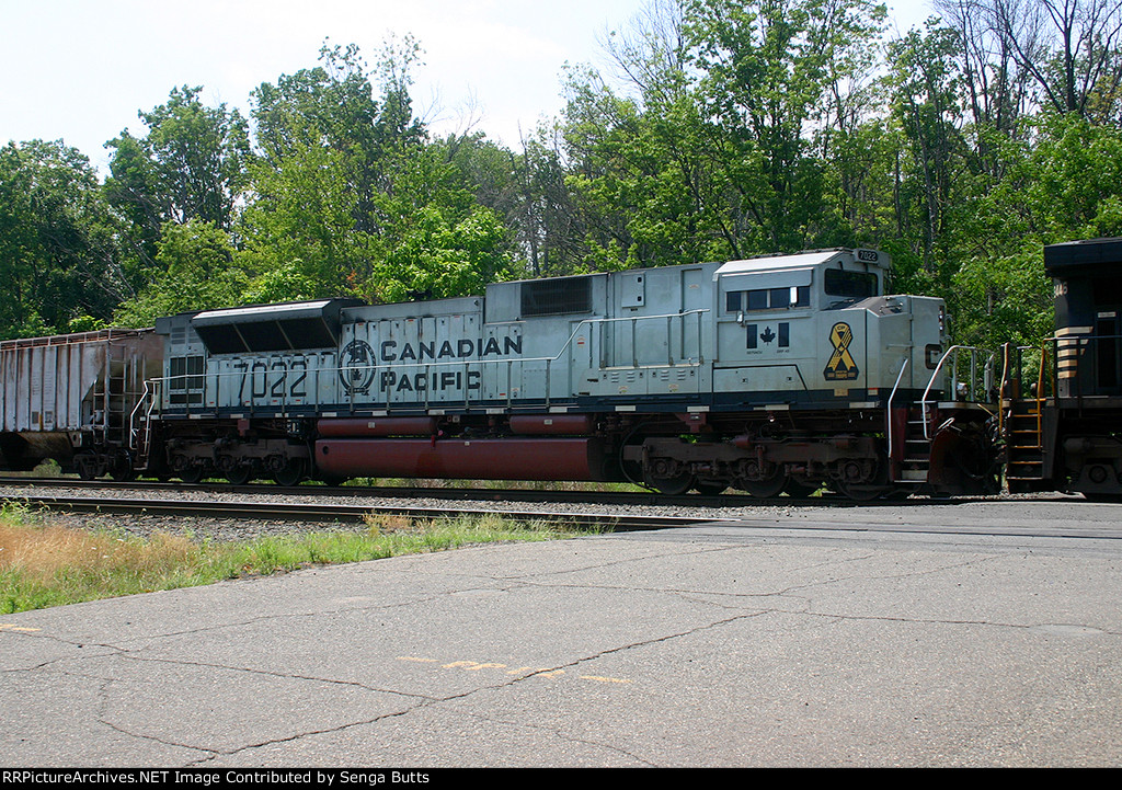 CP 7022 Navy Heritage